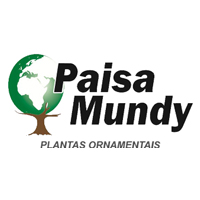 Cliente: Paisamundy